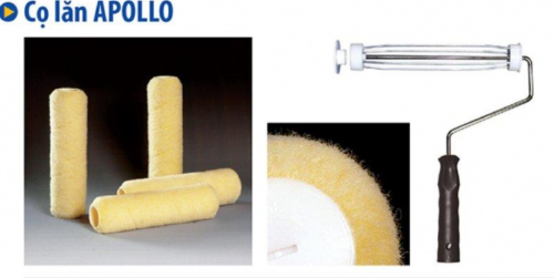 Cọ lăn Apollo
