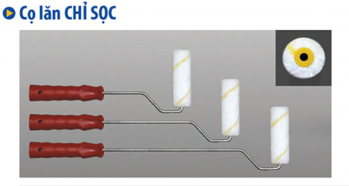Cọ lăn chỉ sọc