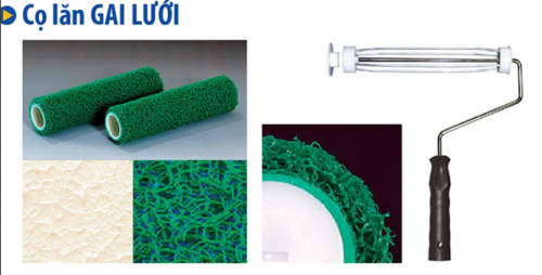 Cọ lăn gai lưới
