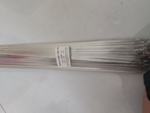 Dây rút inox (4.6x500mm)