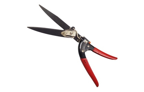 Kéo cắt cỏ (TOP)