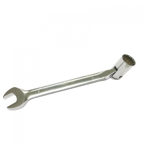 Miệng và Điểu lắc  (Century)